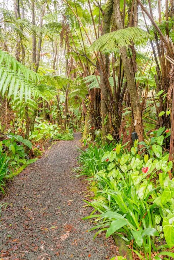Ferienwohnung Kilauea Iki- Hale Kumu La'Au Volcano Exterior foto